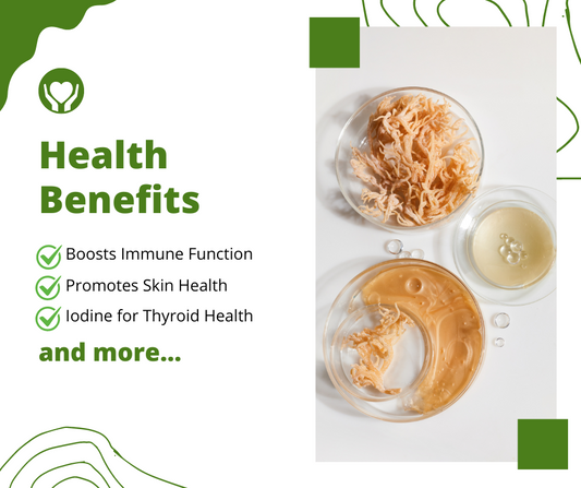 “Unlock the nutritional power of sea moss. Learn about its benefits and how it can enhance your health. #SeaMoss #Superfood #Nutrition”