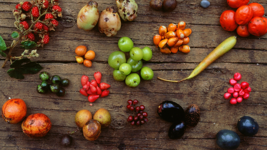 Best Fruits to Pair with Sea Moss for Maximum Nutrition