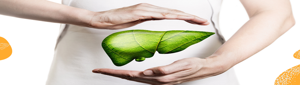 “Sea Moss for Liver Health: A Natural Detoxifier”