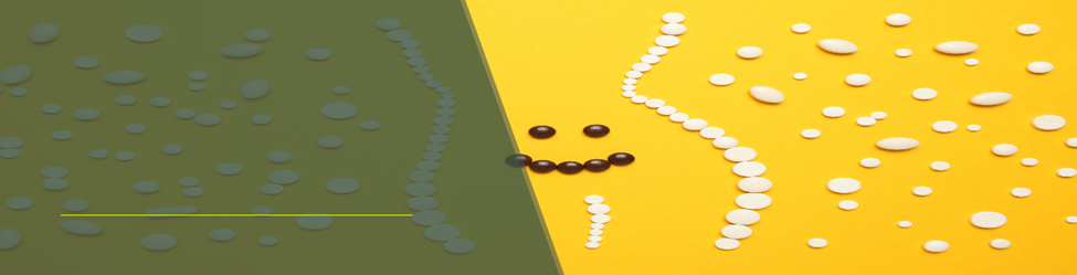 “The Lymphatic System and Sea Moss: Clearing Waste Effectively “