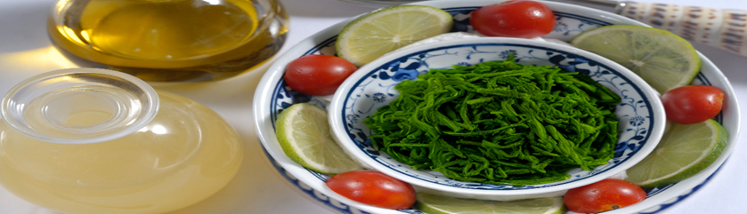 “Why Sea Moss is Essential for Your Healthy Lifestyle