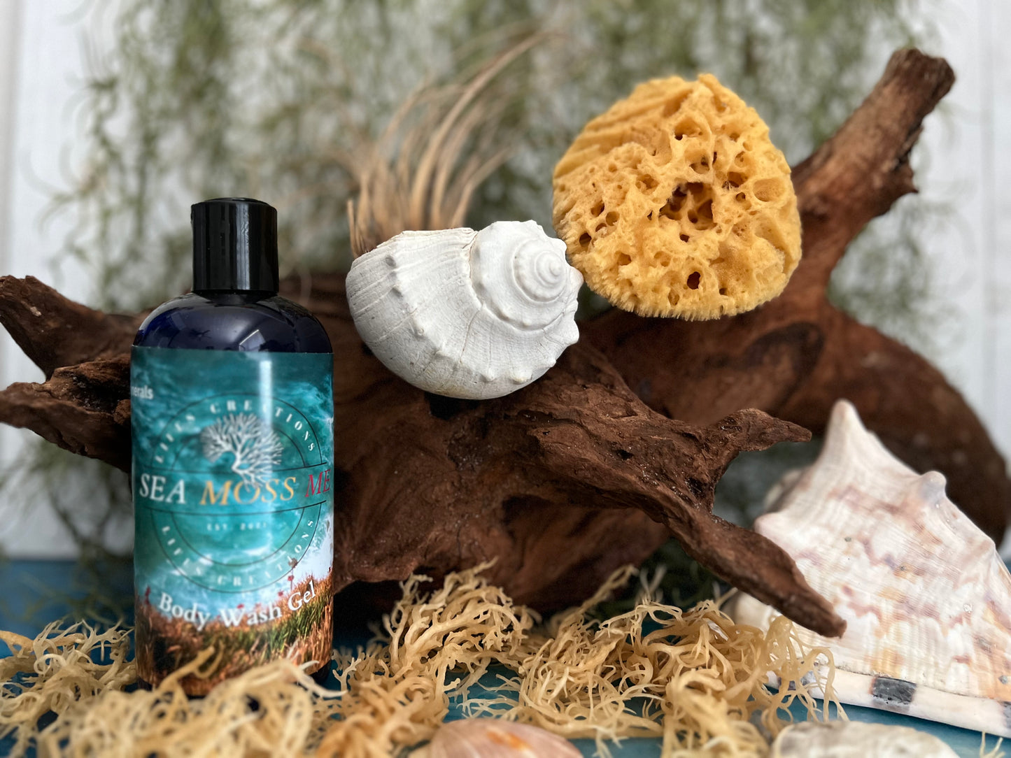 Organic Vegan Sea Moss Caribbean Teakwood Body Wash 12oz