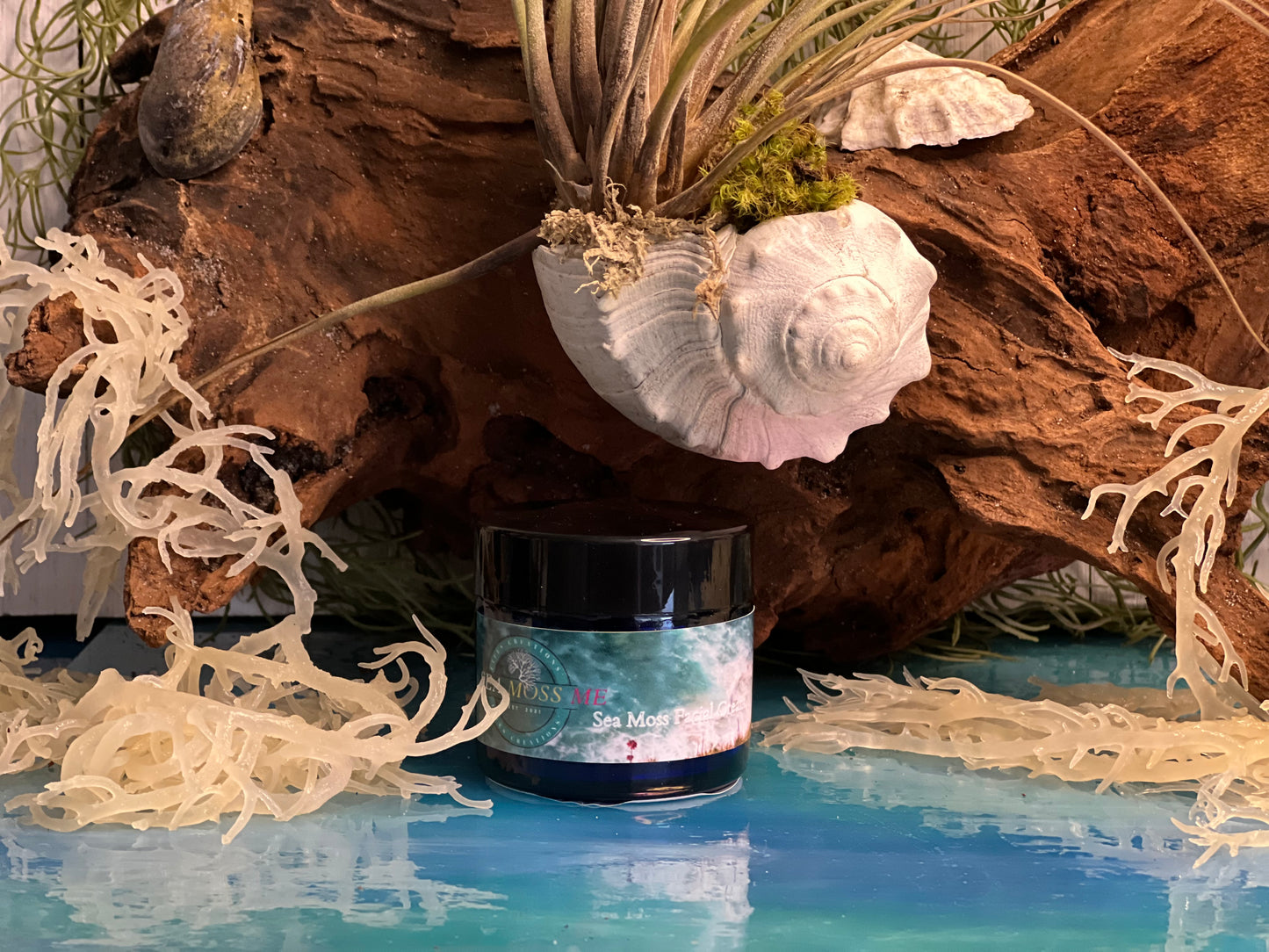 Organic Vegan Sea Moss Anti- Aging Facial Cream 1 oz