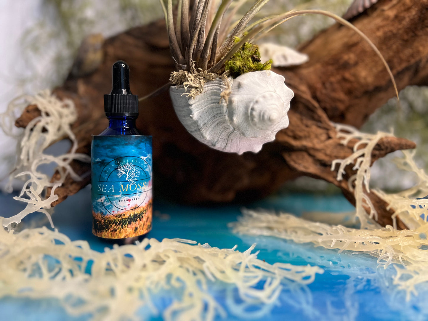 Sea Moss Body Oil with Candela leaves