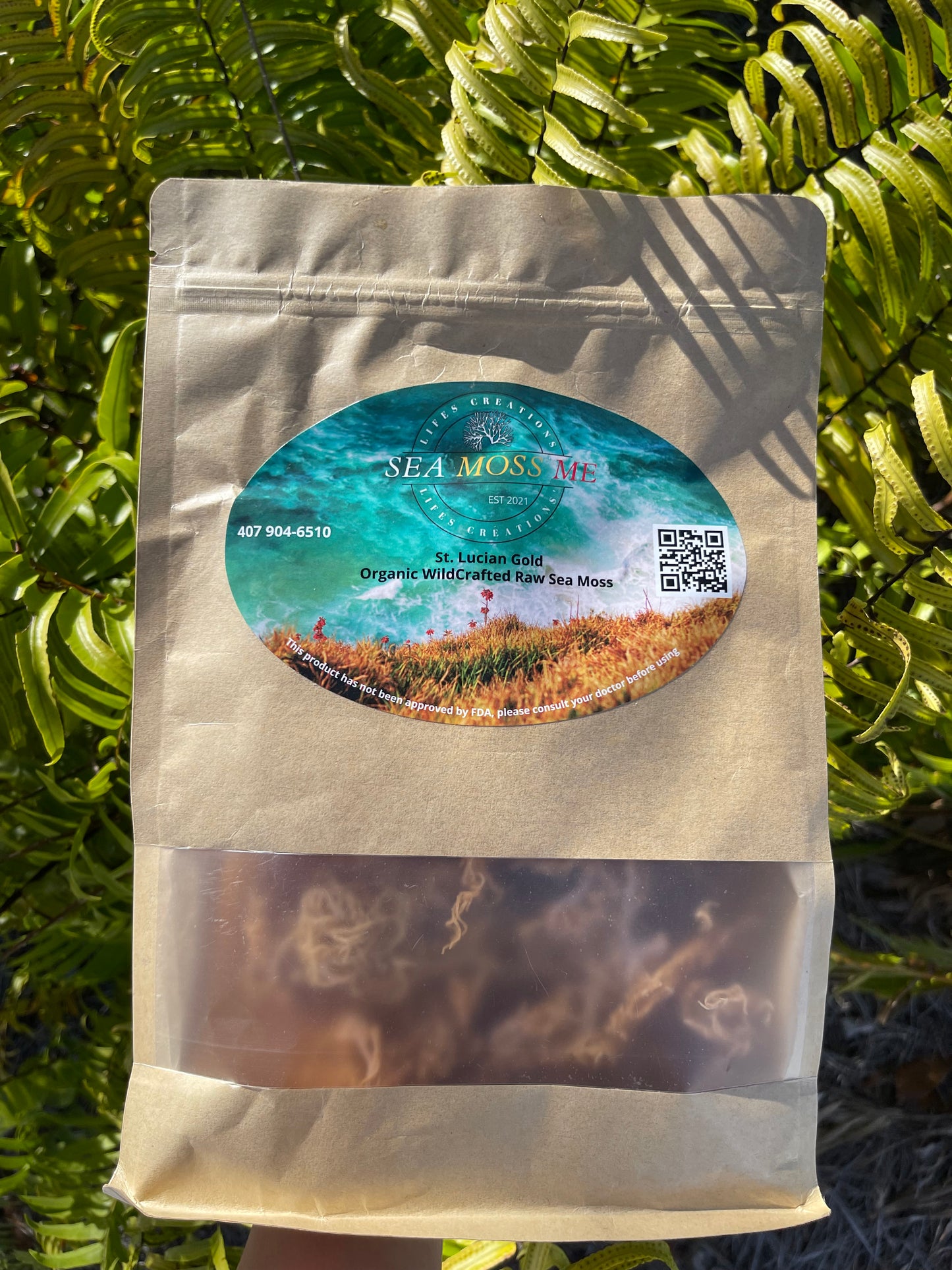 Raw Golden St. Lucian Sea Moss