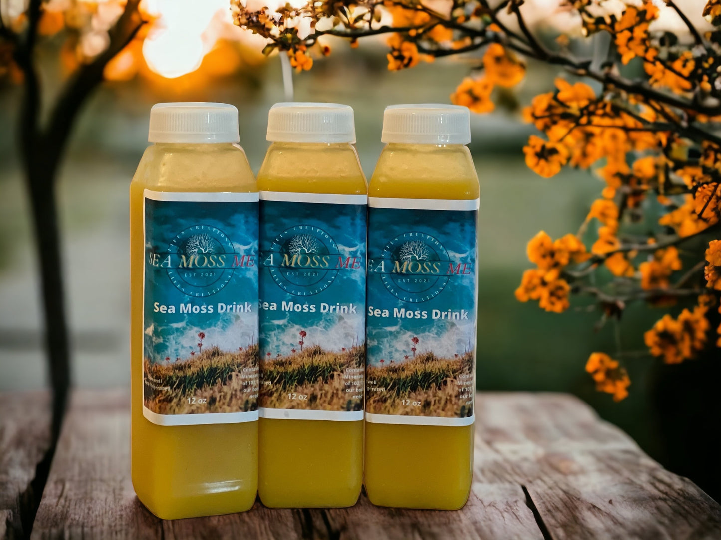 Organic Vegan Sea Moss C Boost Juice 12oz