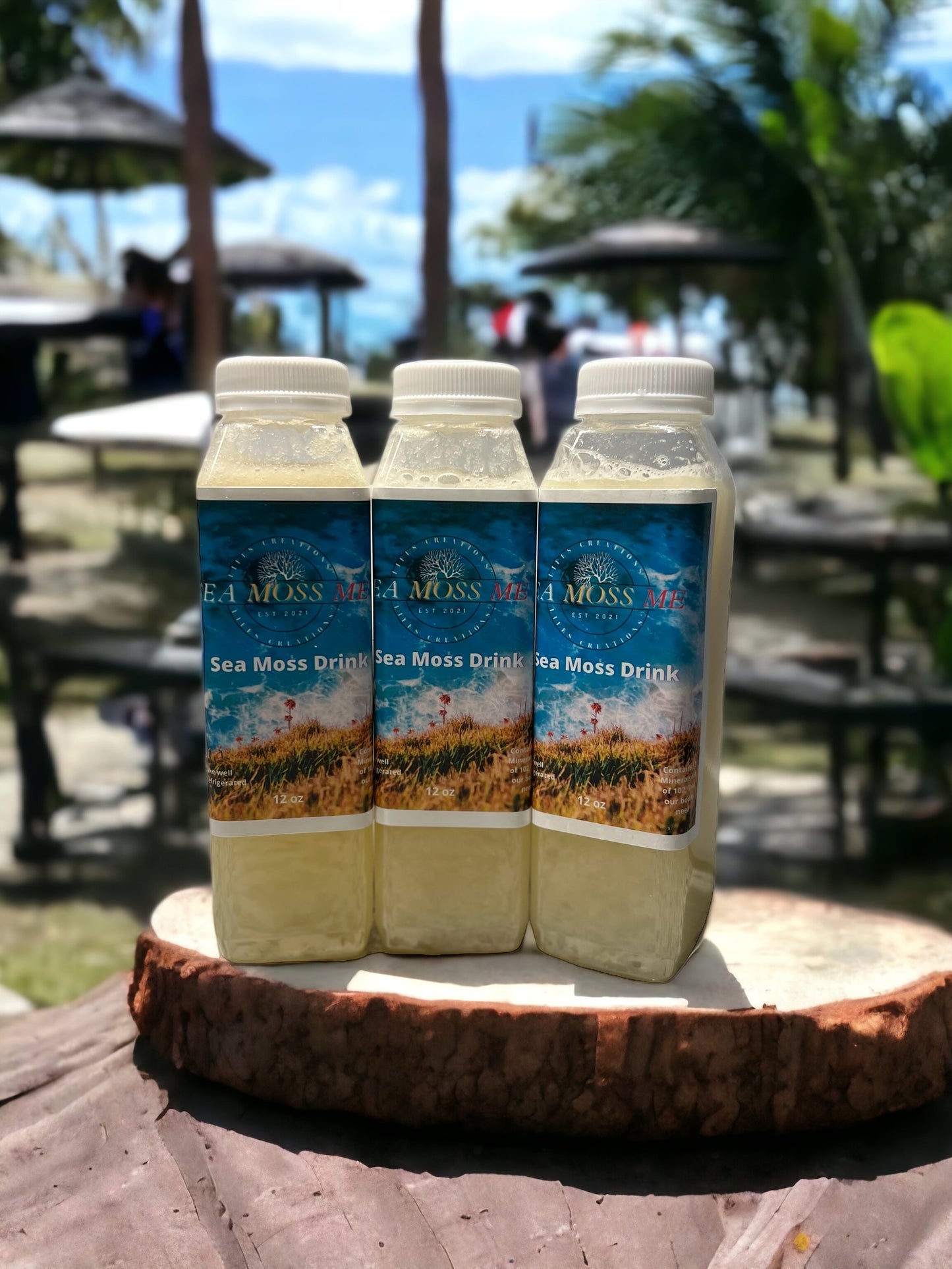 Sea Moss Soursop Juice 12oz