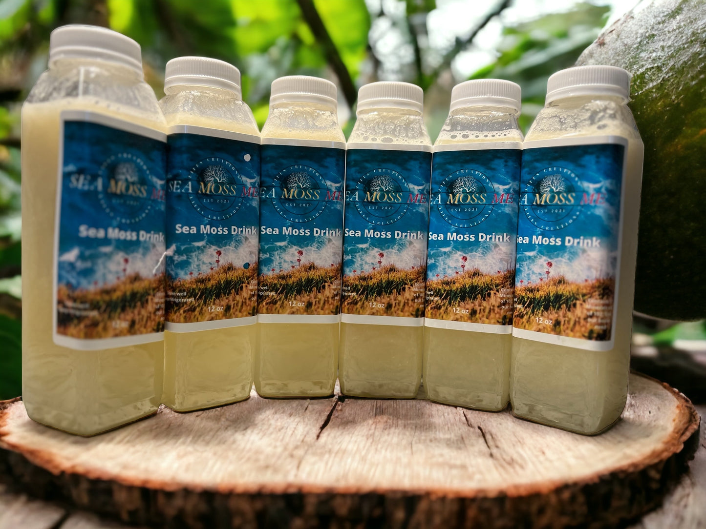Sea Moss Soursop Juice 12oz
