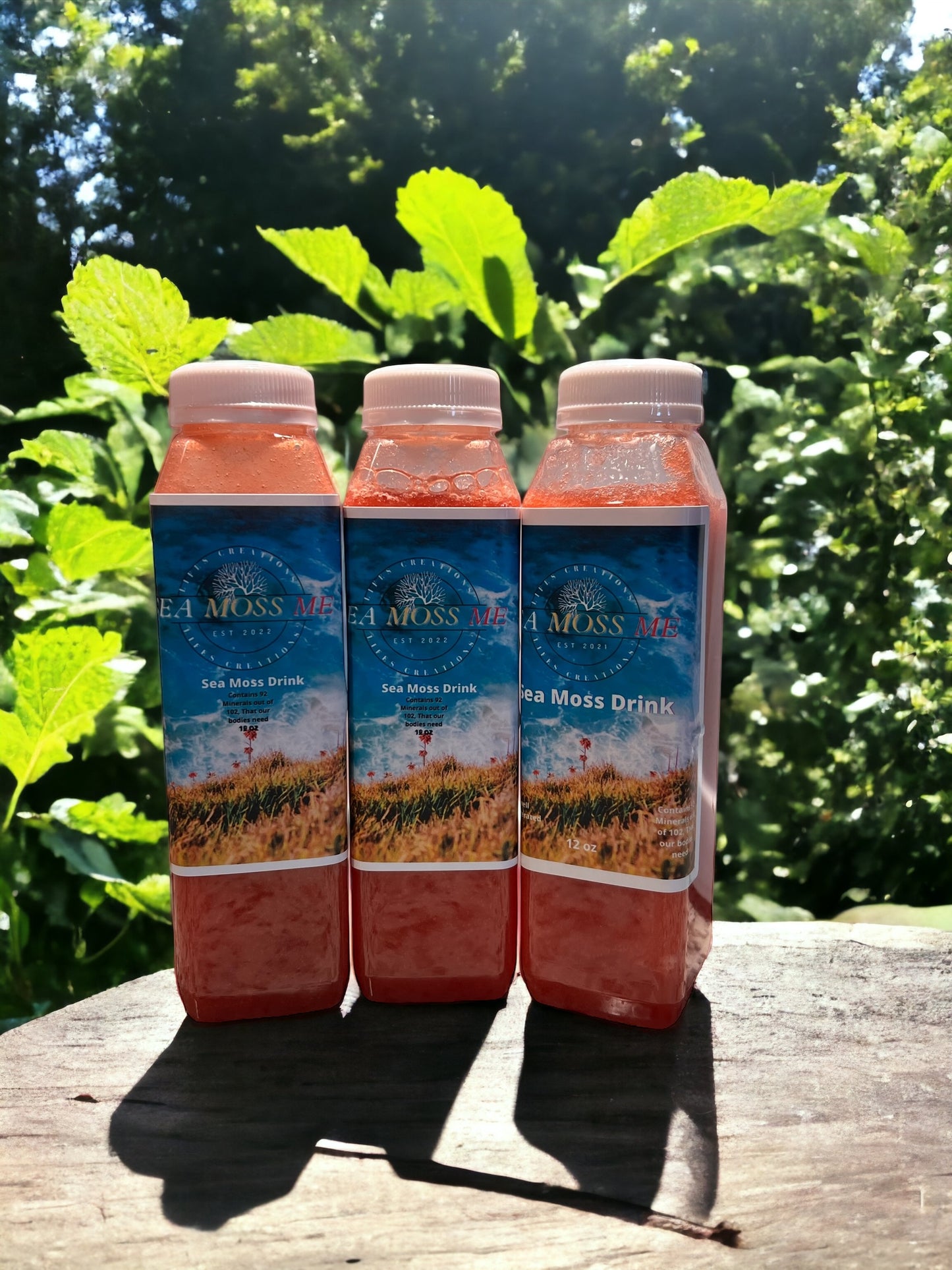 Watermelon Mint sea moss juice 12oz