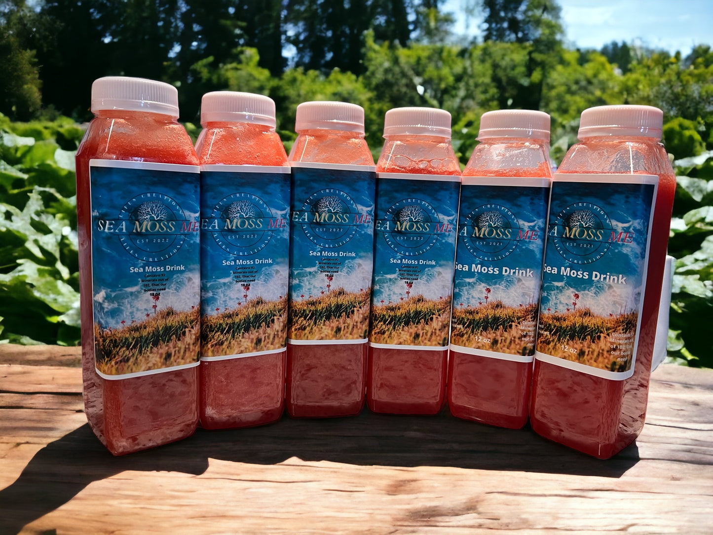 Watermelon Mint sea moss juice 12oz