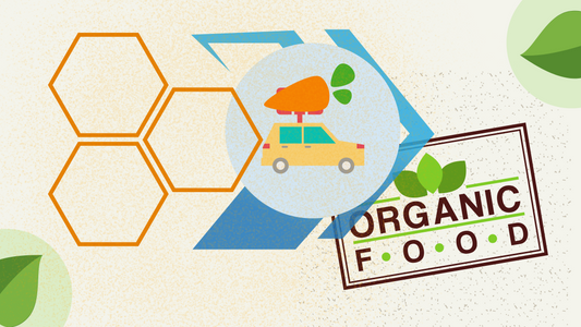 How to Find an Organic Food Delivery Company